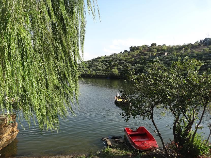 Casa Da Caroline Βίλα Freixo de Espada à Cinta Εξωτερικό φωτογραφία